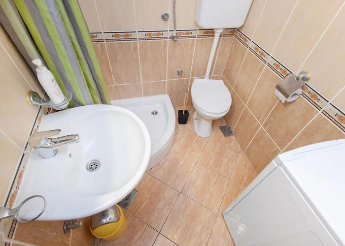 Damir Brodarica (Sibenik-Knin)