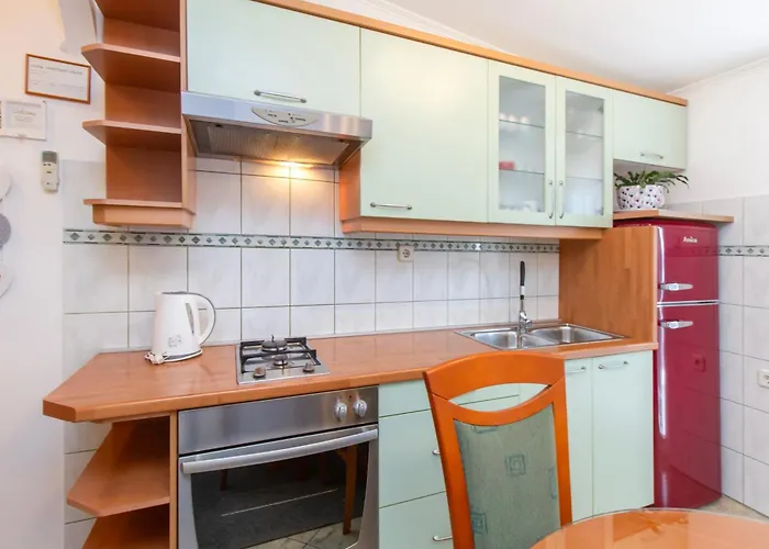 Damir Brodarica (Sibenik-Knin)